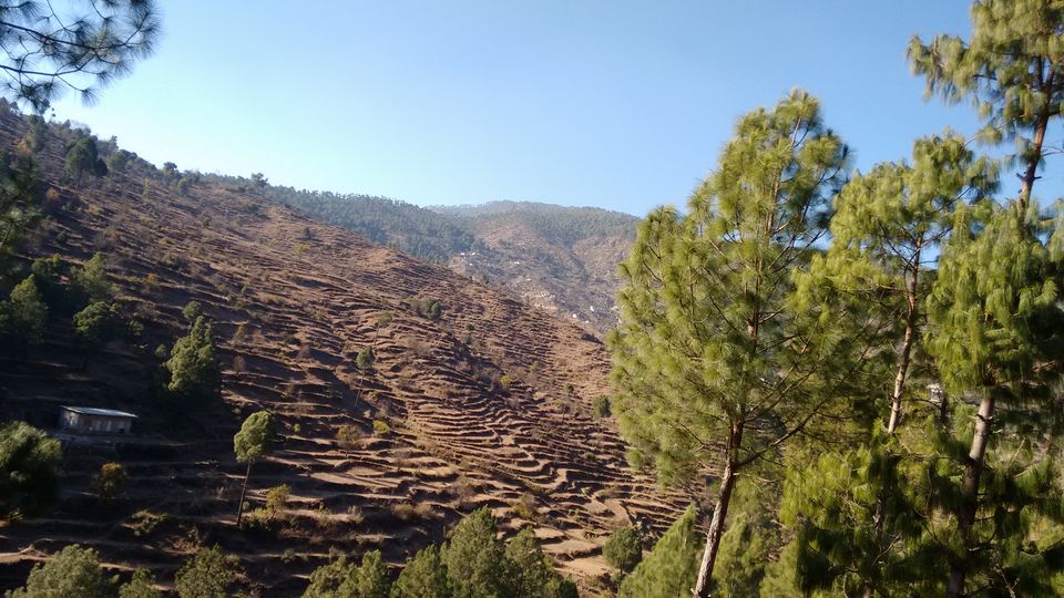 Photo of The hills of Kumaon by Anupriya Succena