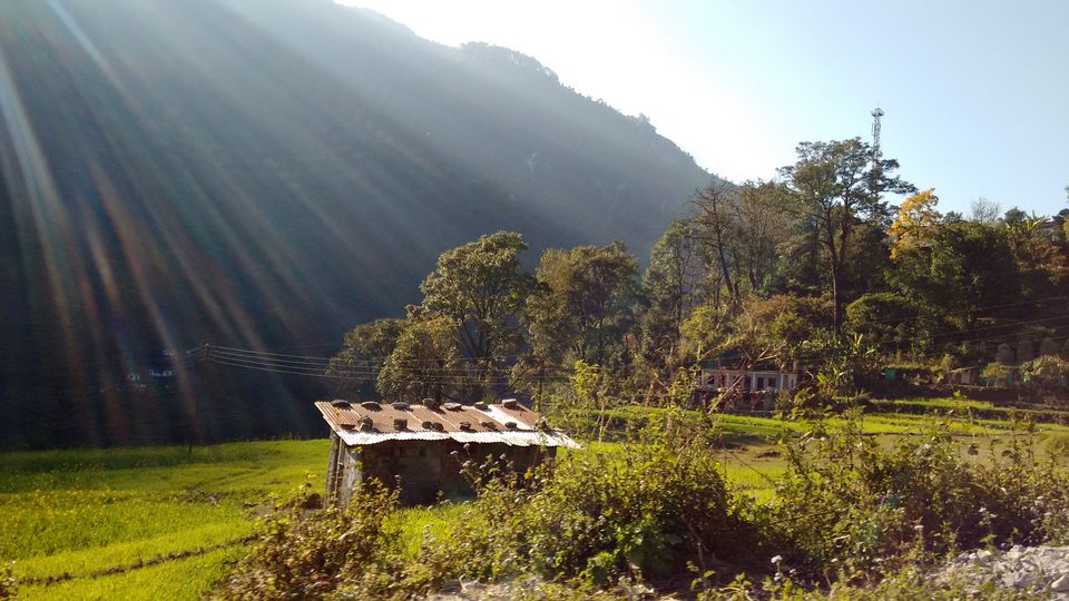 Photo of The hills of Kumaon by Anupriya Succena