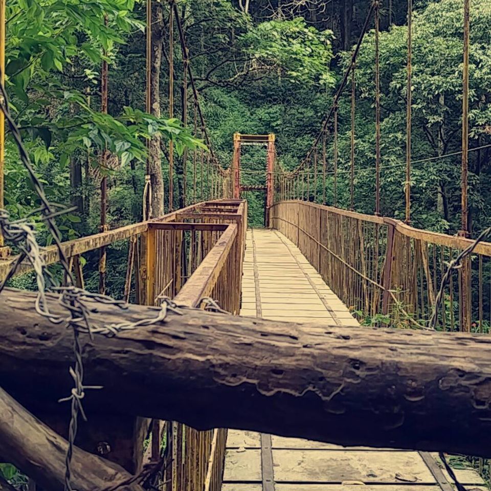 Photo of Coorg, Karnataka, India by Suyash Mishra