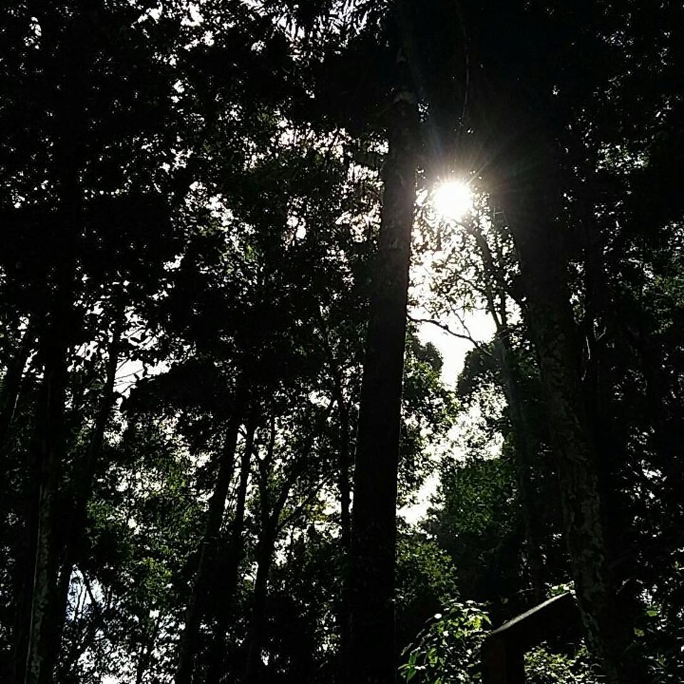 Photo of Coorg, Karnataka, India by Suyash Mishra