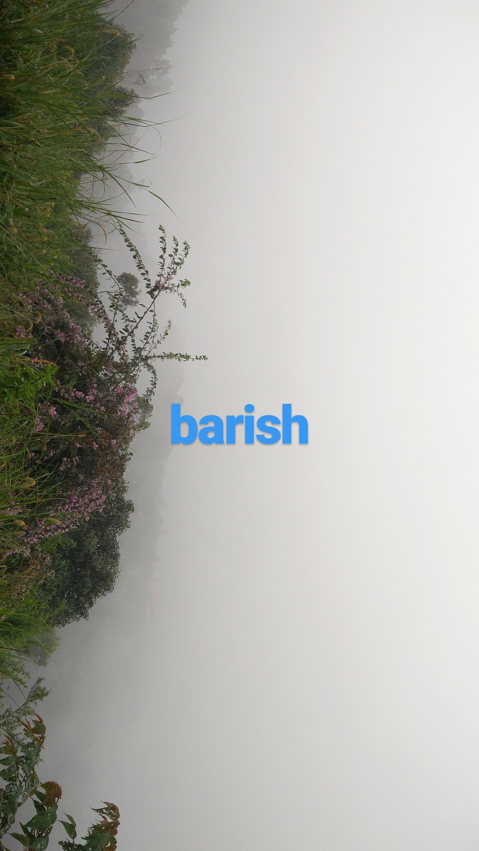 Photo of Coorg, Karnataka, India by Suyash Mishra