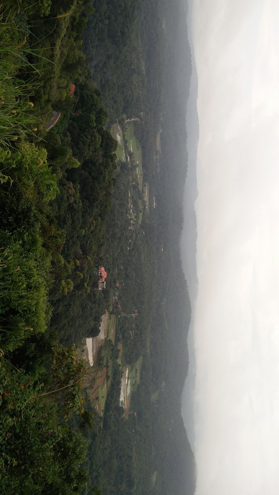 Photo of Coorg, Karnataka, India by Suyash Mishra