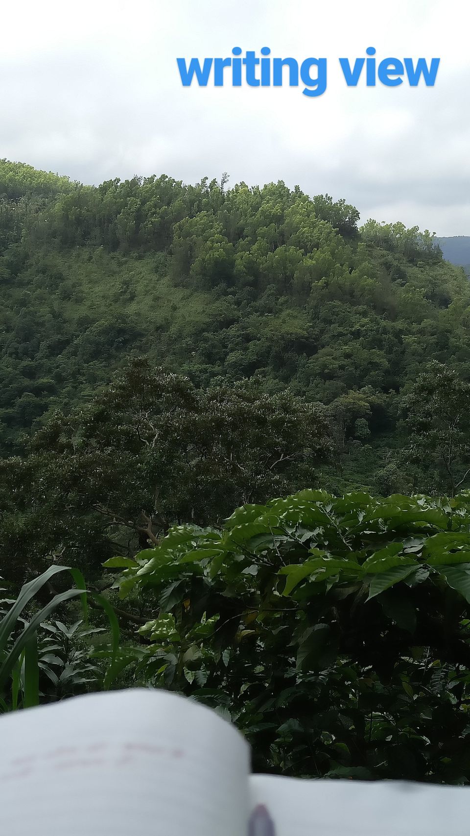 Photo of Coorg, Karnataka, India by Suyash Mishra