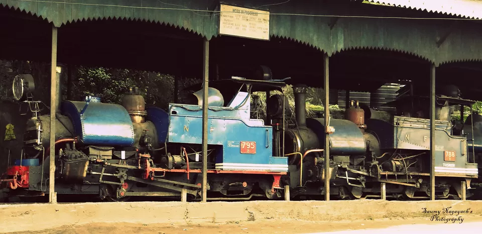 Photo of Darjeeling Himalaya Railway, West Point, Darjeeling, West Bengal, India by Saumy Nagayach