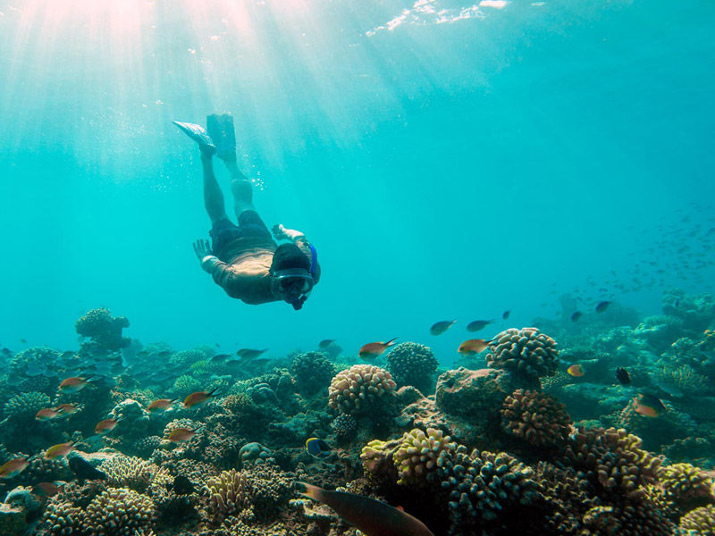Photo of Top things you can do in Maldives with family 1/7 by Holiday Deals
