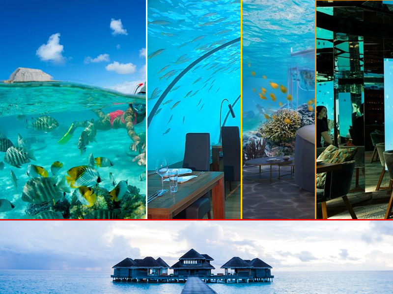 Photo of Top things you can do in Maldives with family by Holiday Deals