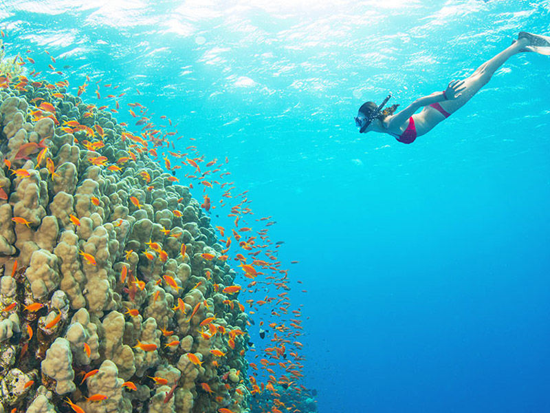 Photo of Top things you can do in Maldives with family 6/7 by Holiday Deals
