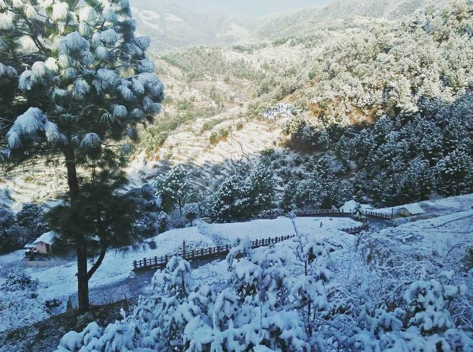 Photo of Taandi: Uttarakhand's Hidden Gem 5/7 by GreysandBlacks