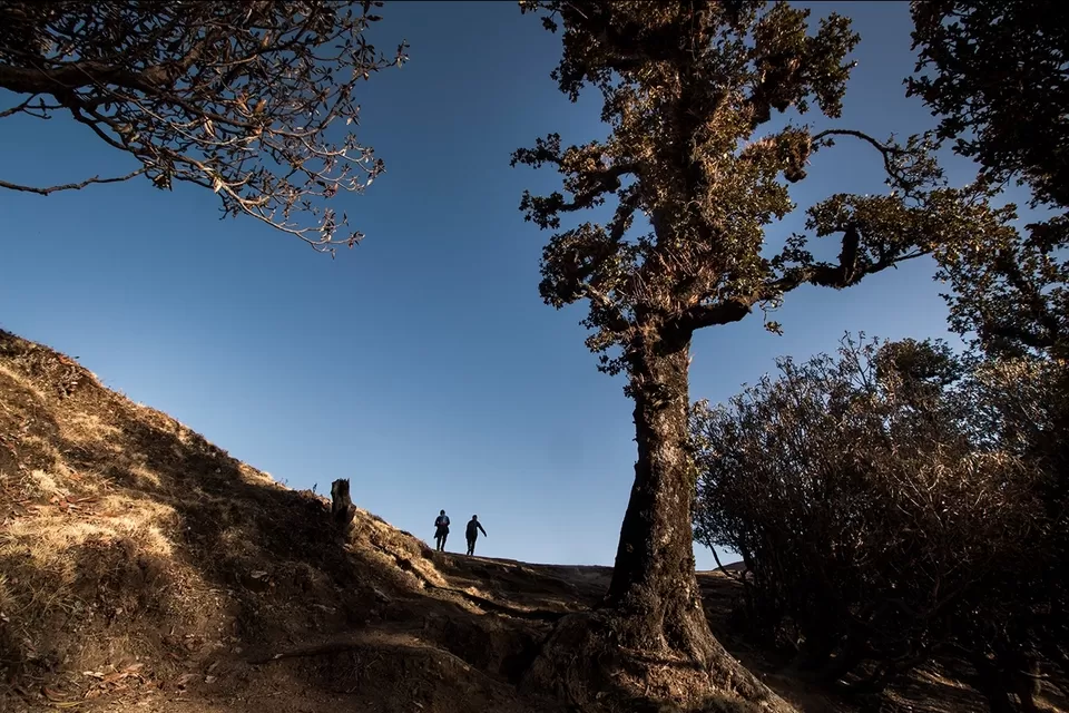Photo of BrahmaTal, Chamoli, Uttarakhand, India by Sayandeep Roy