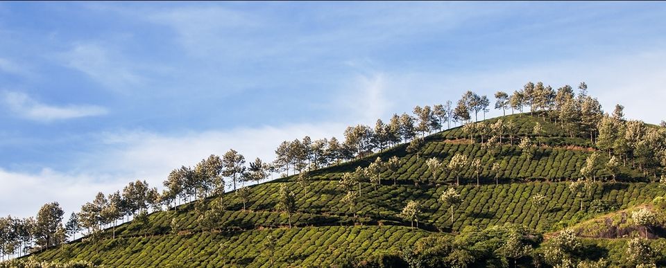 Photo of Munnar, Kerala, India by Sayandeep Roy