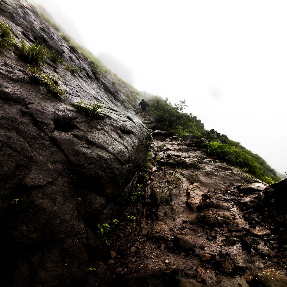 Photo of Enchanting Rajmachi by Sayandeep Roy