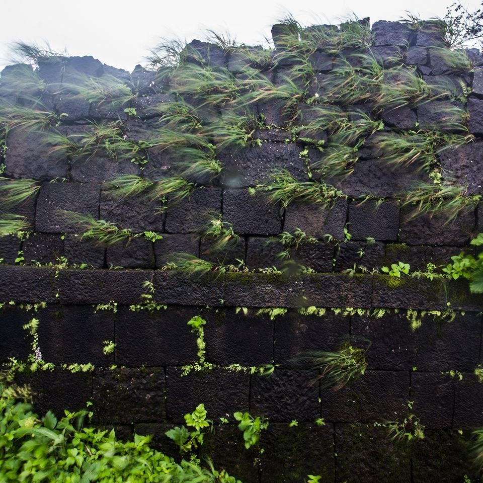 Photo of Enchanting Rajmachi by Sayandeep Roy