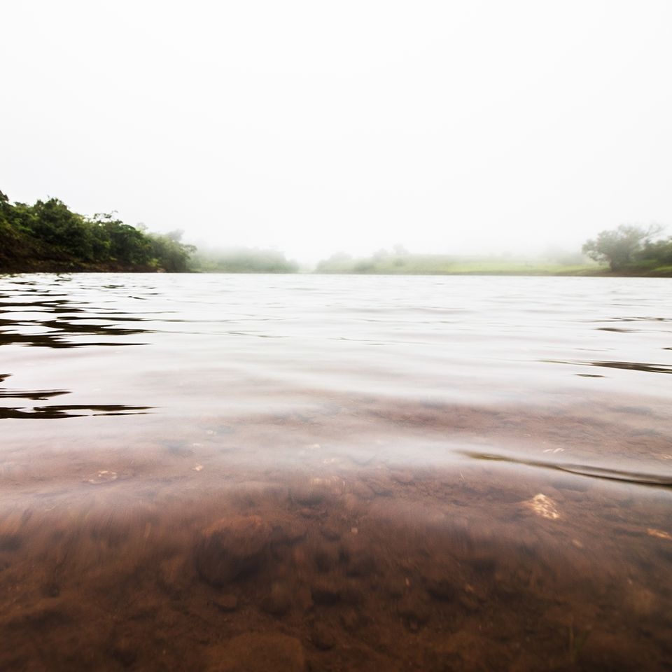 Photo of Enchanting Rajmachi by Sayandeep Roy