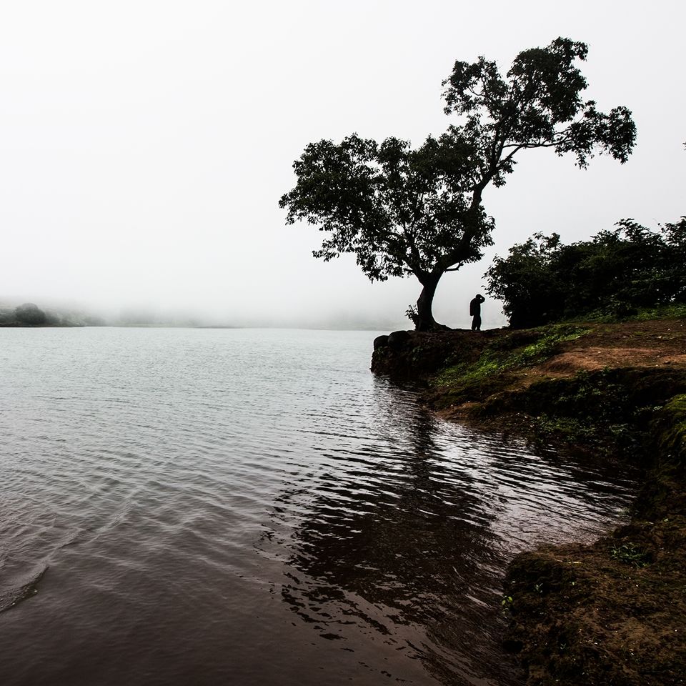 Photo of Enchanting Rajmachi by Sayandeep Roy