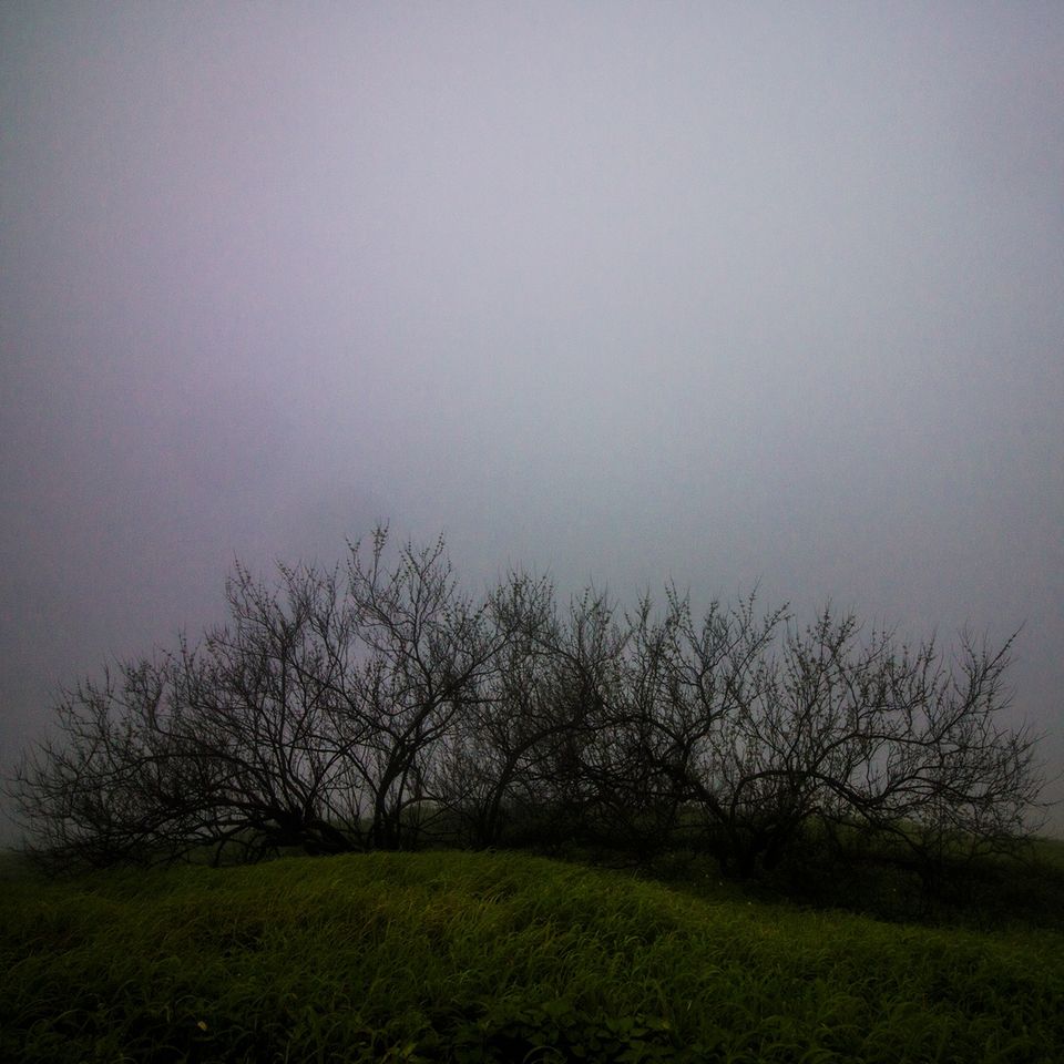 Photo of Enchanting Rajmachi by Sayandeep Roy