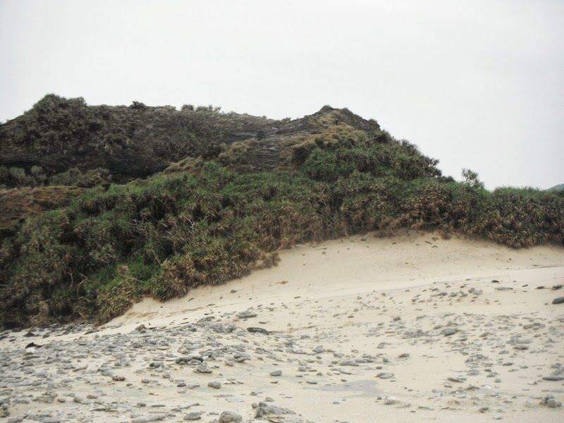 Photo of Zamini Island by Liz Thottan