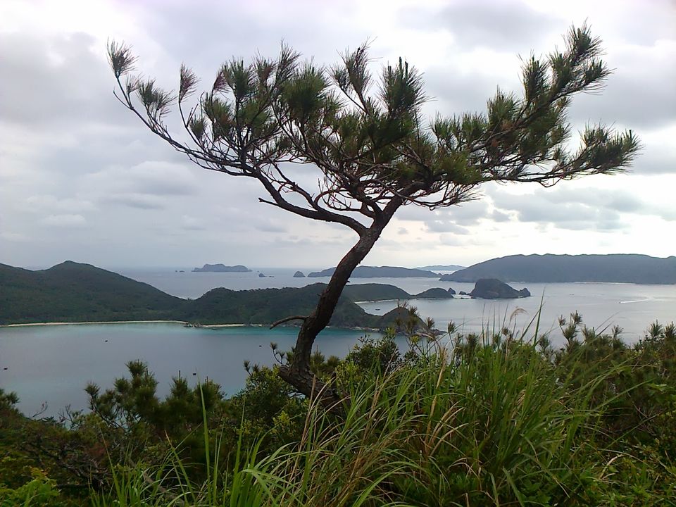 Photo of Osaru no Oyado, Naha, Okinawa Prefecture, Japan by Liz Thottan