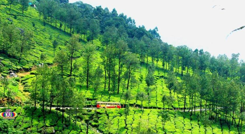 Photo of Top 10 Holiday Destinations In India During Summer 4/4 by Ayandrali Dutta