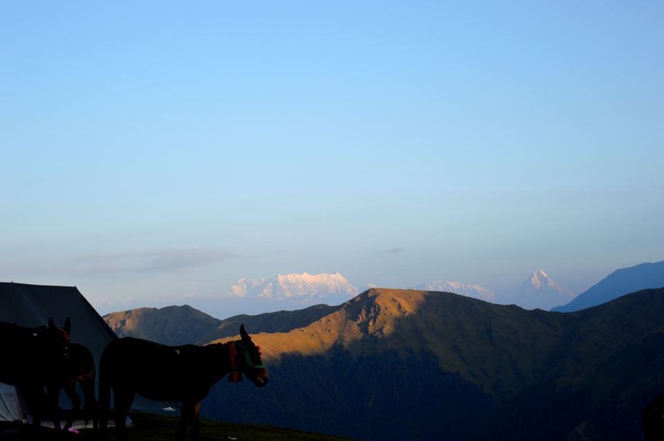 Photo of Wan, Chamoli, Uttarakhand, India by Rohan Bhasin