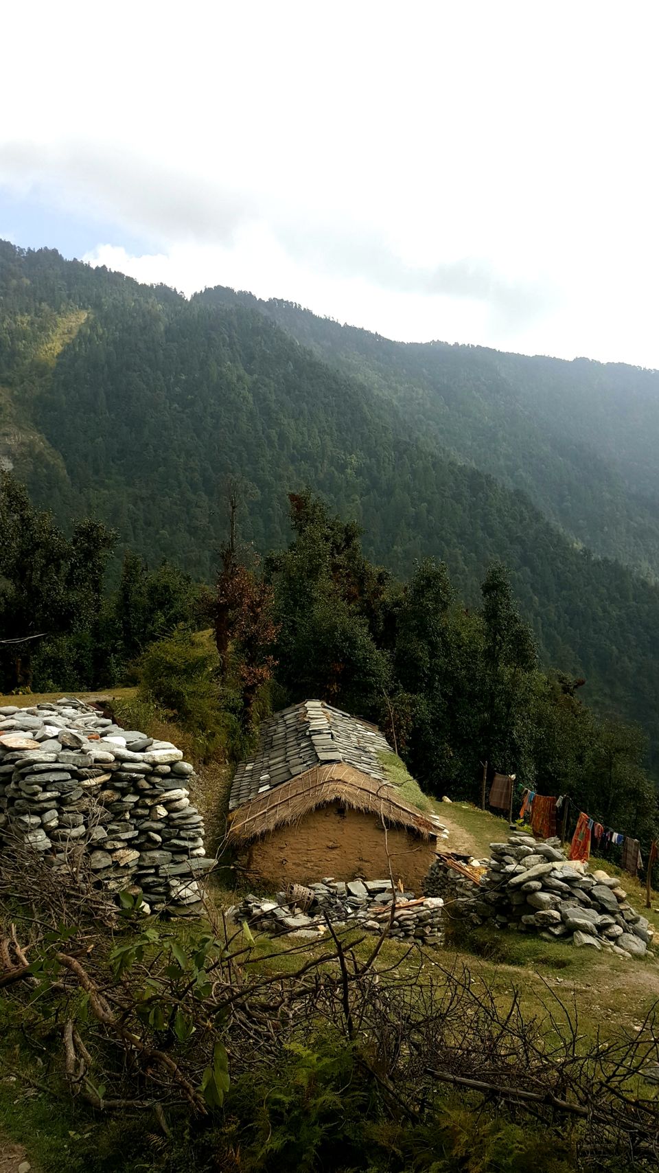 Photo of Wan, Chamoli, Uttarakhand, India by Rohan Bhasin