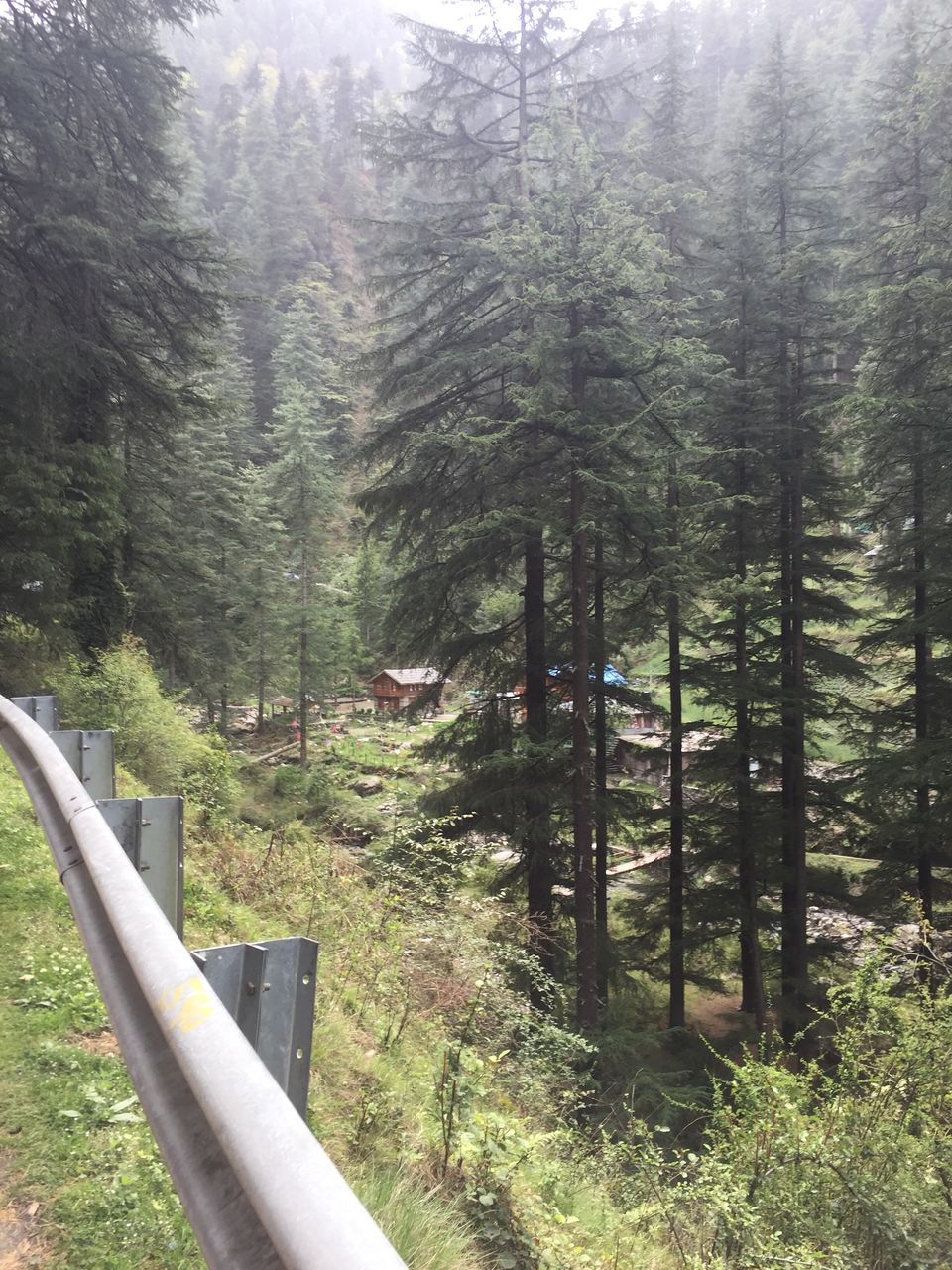 Photo of Jibhi, Himachal Pradesh, India by Yash Gupta
