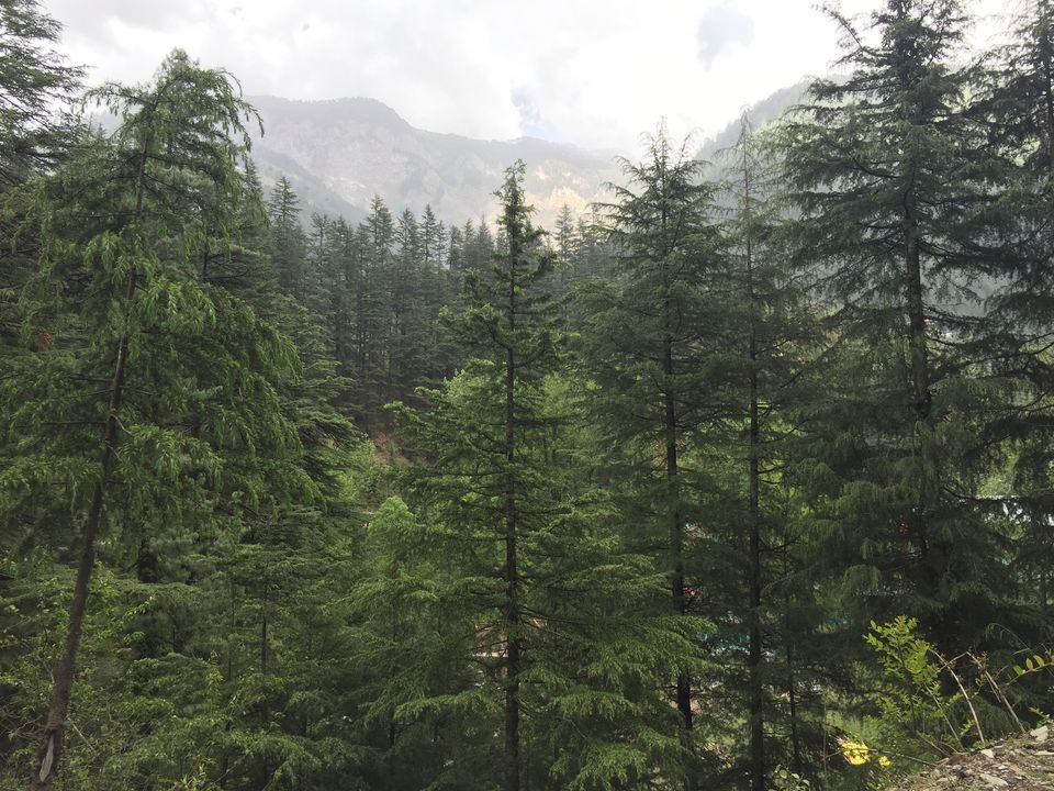 Photo of Jibhi, Himachal Pradesh, India by Yash Gupta
