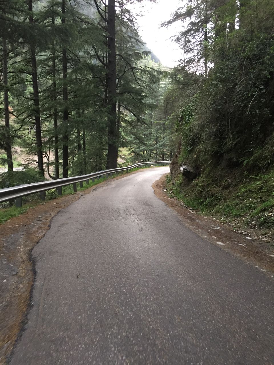 Photo of Jibhi, Himachal Pradesh, India by Yash Gupta
