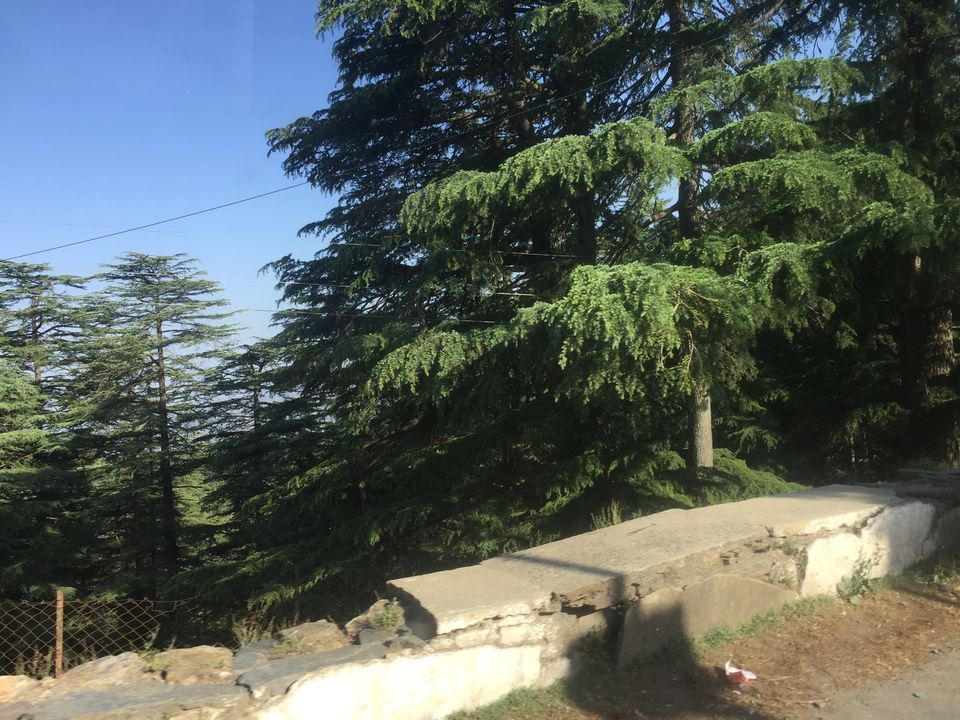 Photo of Chail, Himachal Pradesh, India by Yash Gupta