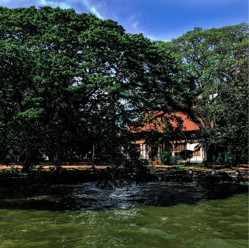 Photo of My First Flight & A Day In Kochi by BillieOnARoll