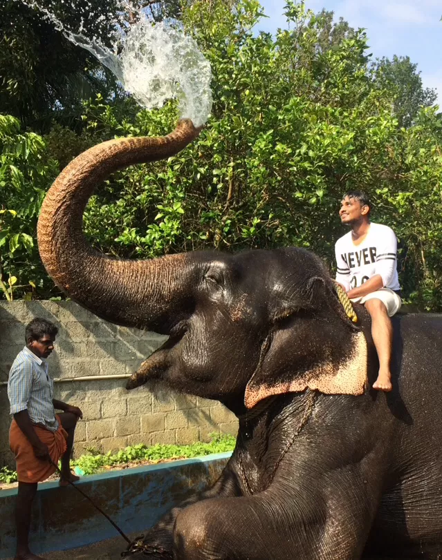 Photo of A Solo Adventure trip to heart of Nature – “Kerala” by Freedom Hacker