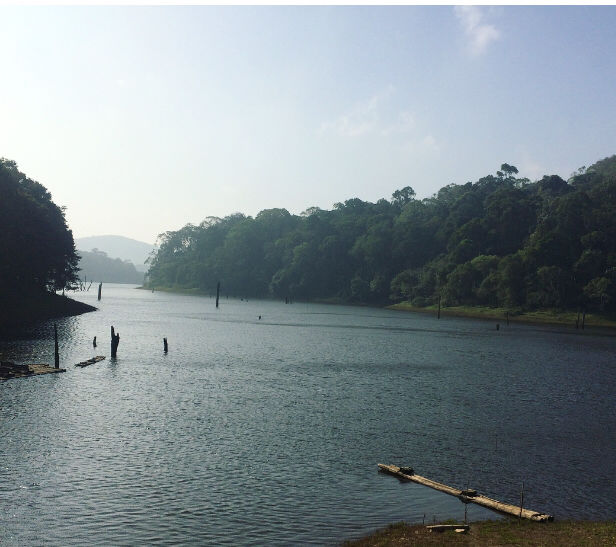 Photo of A Solo Adventure trip to heart of Nature – “Kerala” by Freedom Hacker