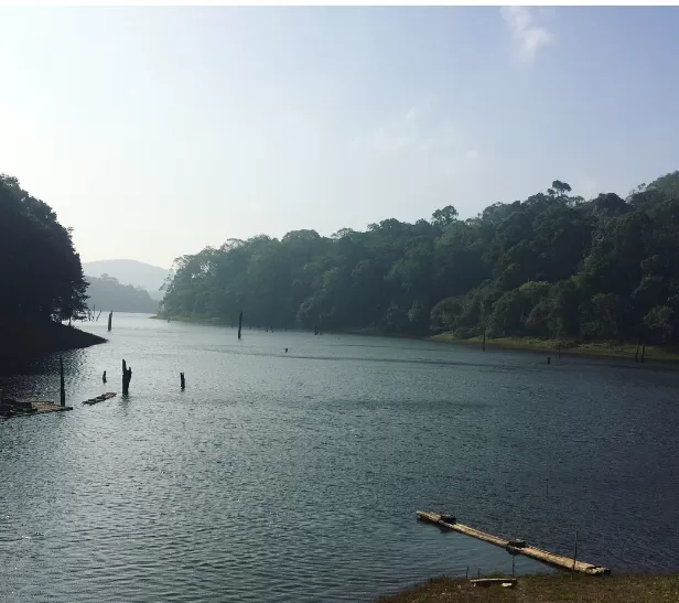 Photo of A Solo Adventure trip to heart of Nature – “Kerala” by Freedom Hacker