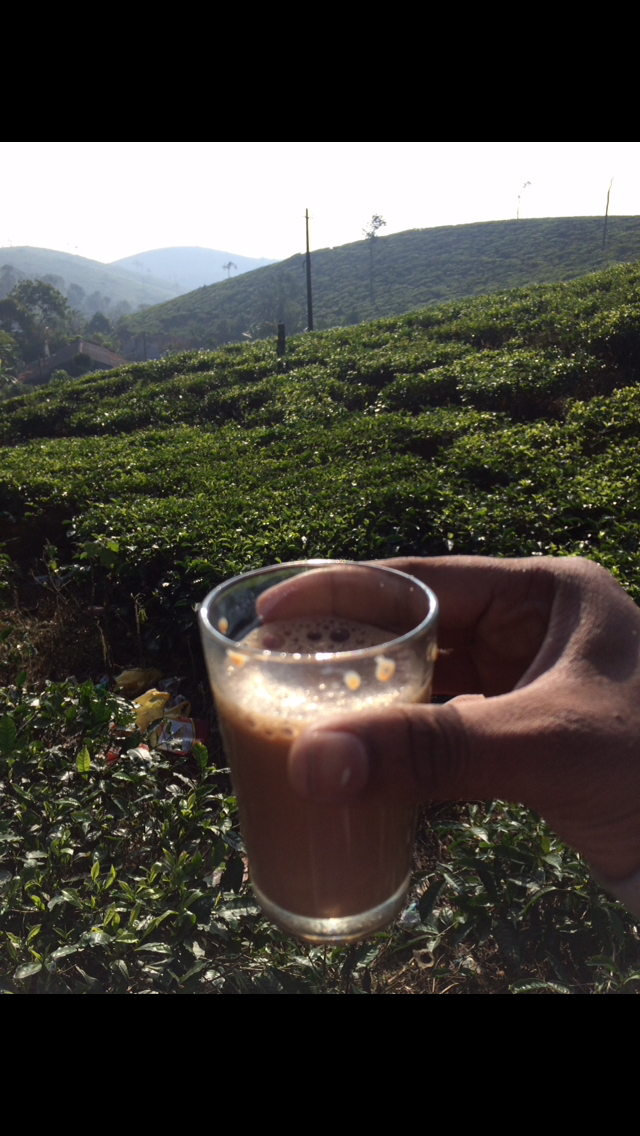 Photo of A Solo Adventure trip to heart of Nature – “Kerala” by Freedom Hacker