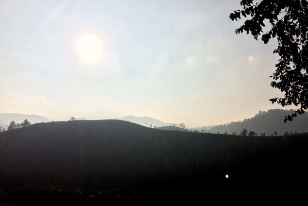 Photo of A Solo Adventure trip to heart of Nature – “Kerala” by Freedom Hacker