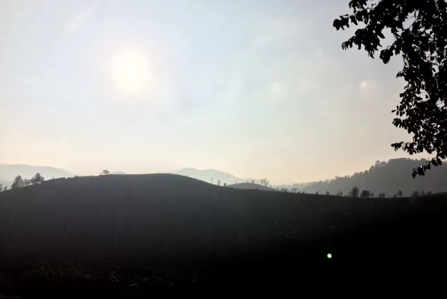 Photo of A Solo Adventure trip to heart of Nature – “Kerala” by Freedom Hacker