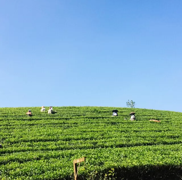 Photo of A Solo Adventure trip to heart of Nature – “Kerala” by Freedom Hacker