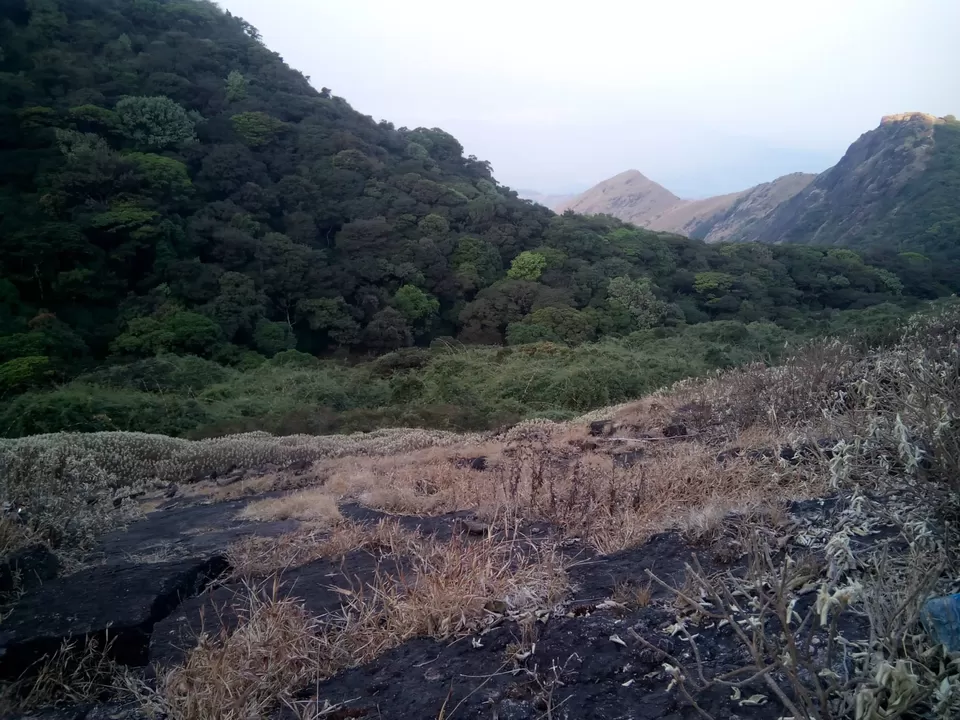 Photo of Pushpagiri Wildlife Sanctuary by Rini Biswas