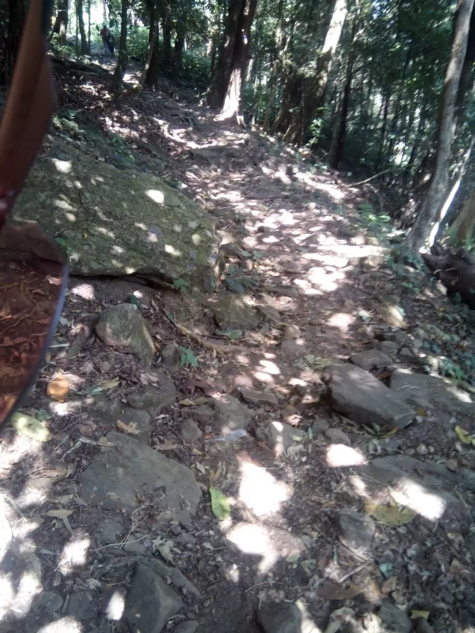 Photo of Pushpagiri Wildlife Sanctuary by Rini Biswas