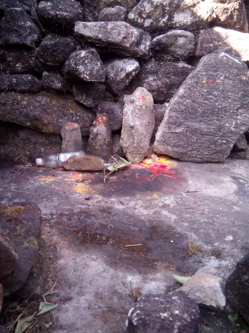 Photo of Pushpagiri Wildlife Sanctuary by Rini Biswas