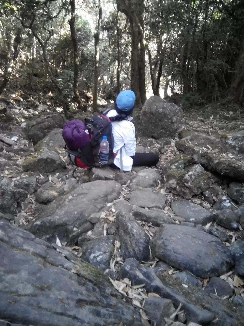 Photo of Pushpagiri Wildlife Sanctuary by Rini Biswas