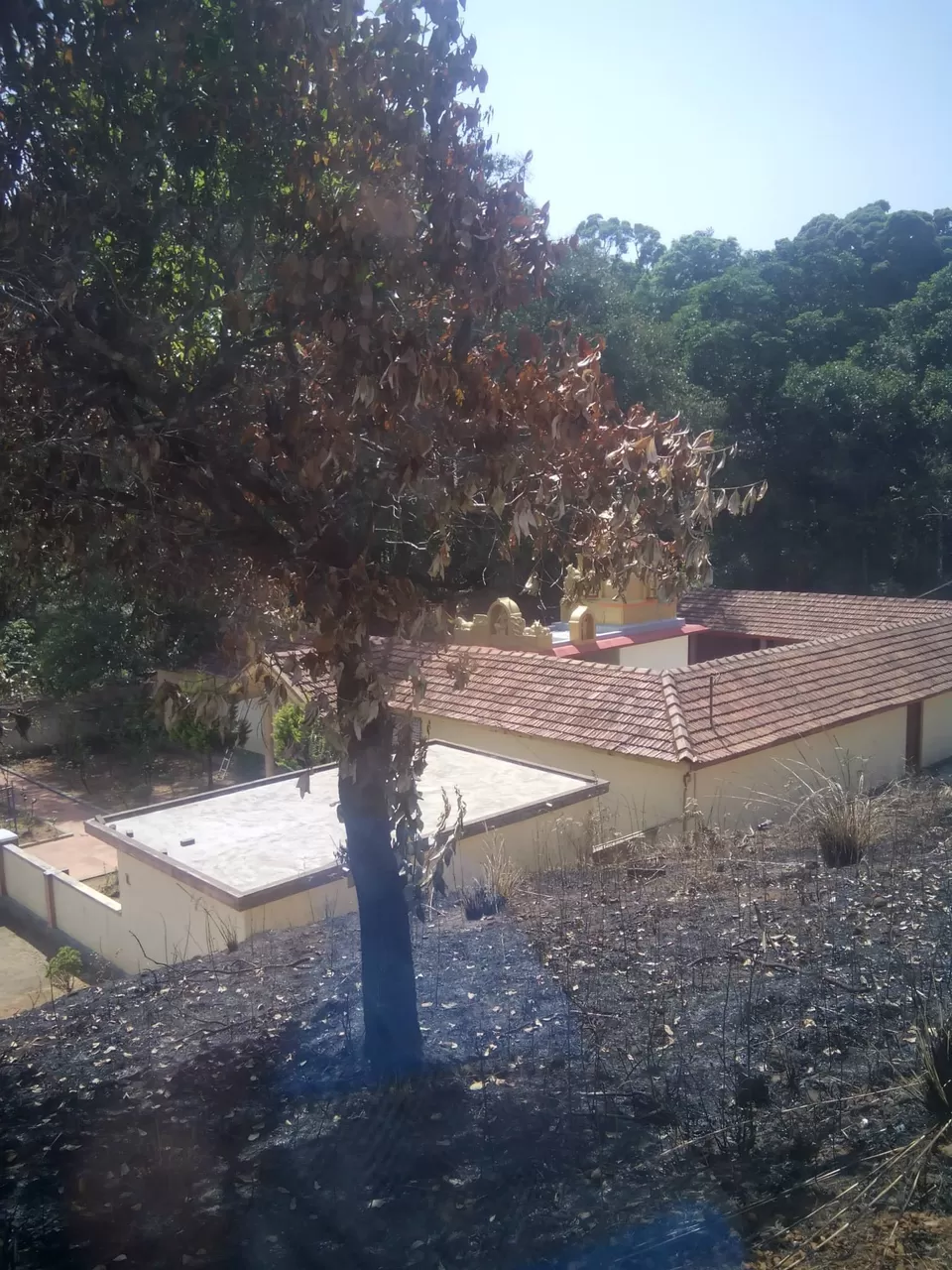 Photo of Pushpagiri Wildlife Sanctuary by Rini Biswas