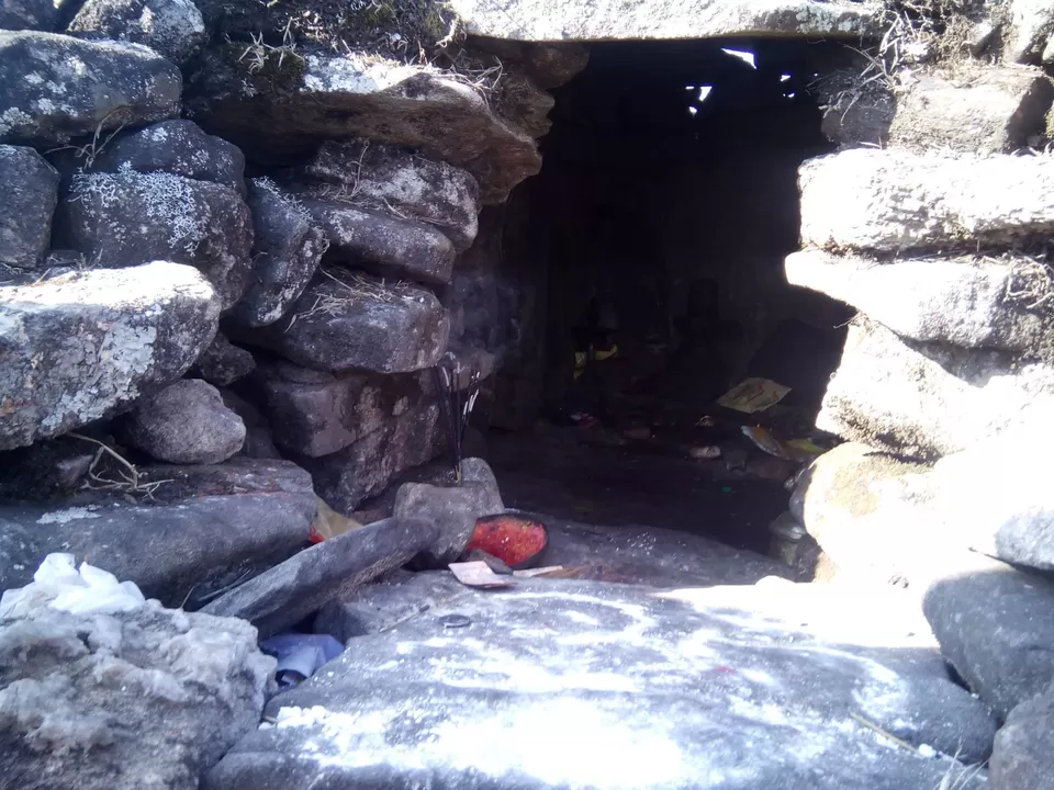 Photo of Pushpagiri Wildlife Sanctuary by Rini Biswas