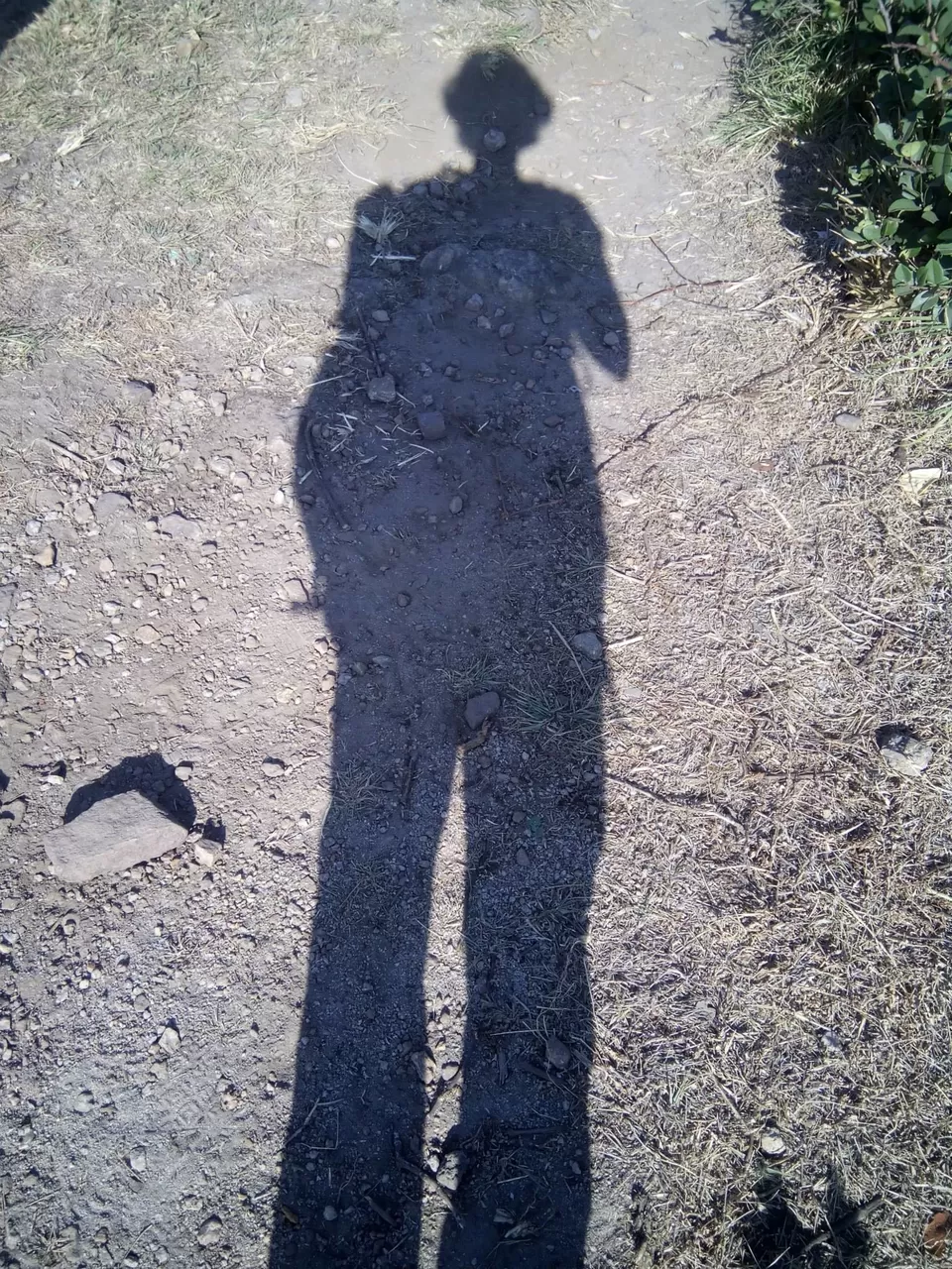 Photo of Pushpagiri Wildlife Sanctuary by Rini Biswas