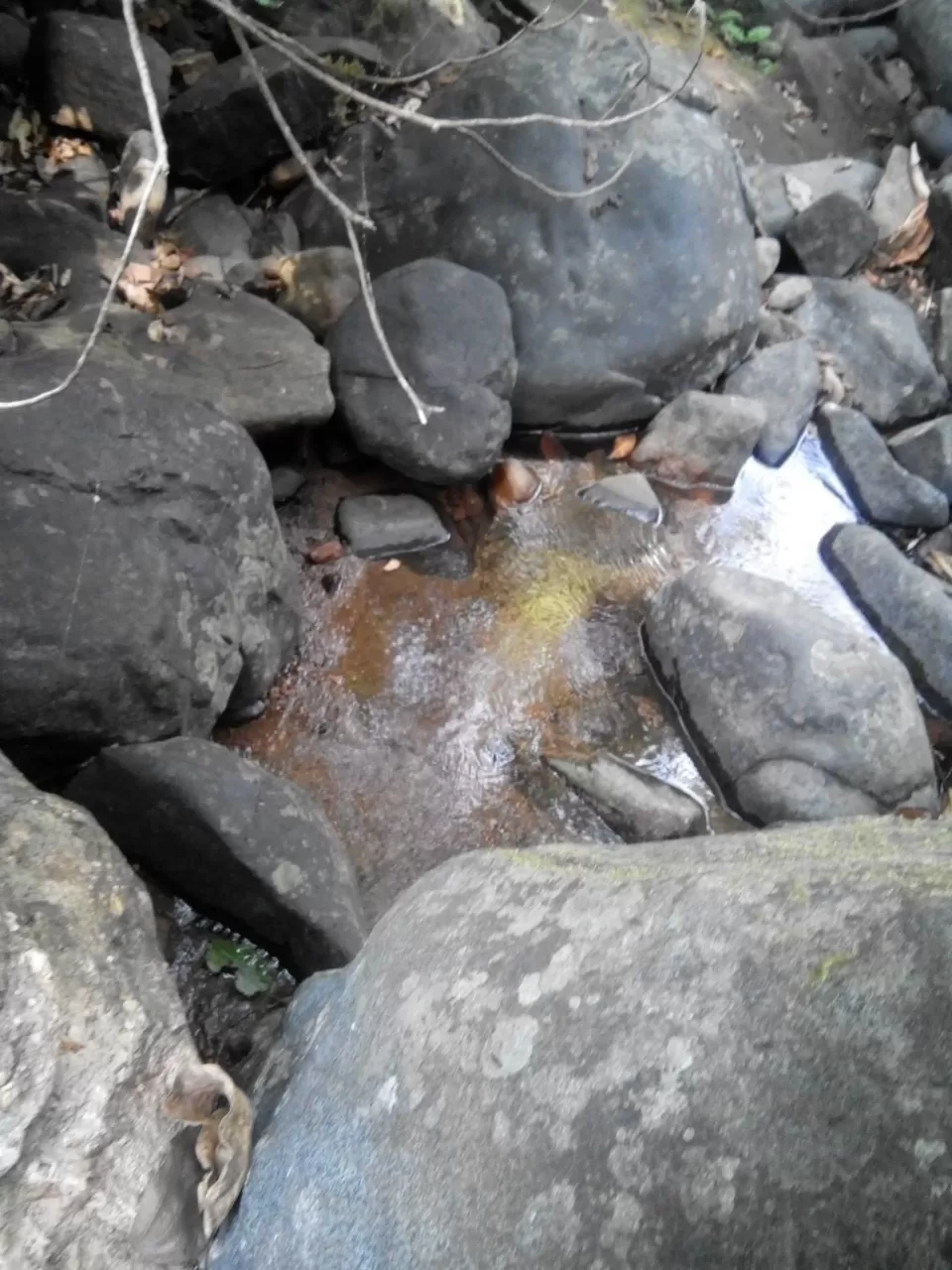 Photo of Pushpagiri Wildlife Sanctuary by Rini Biswas