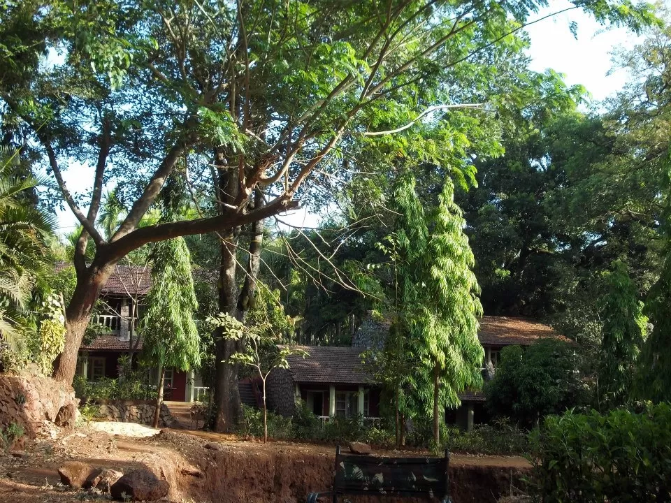 Photo of Bison River Resort - Tg, Dandeli, Karnataka, India by Rini Biswas