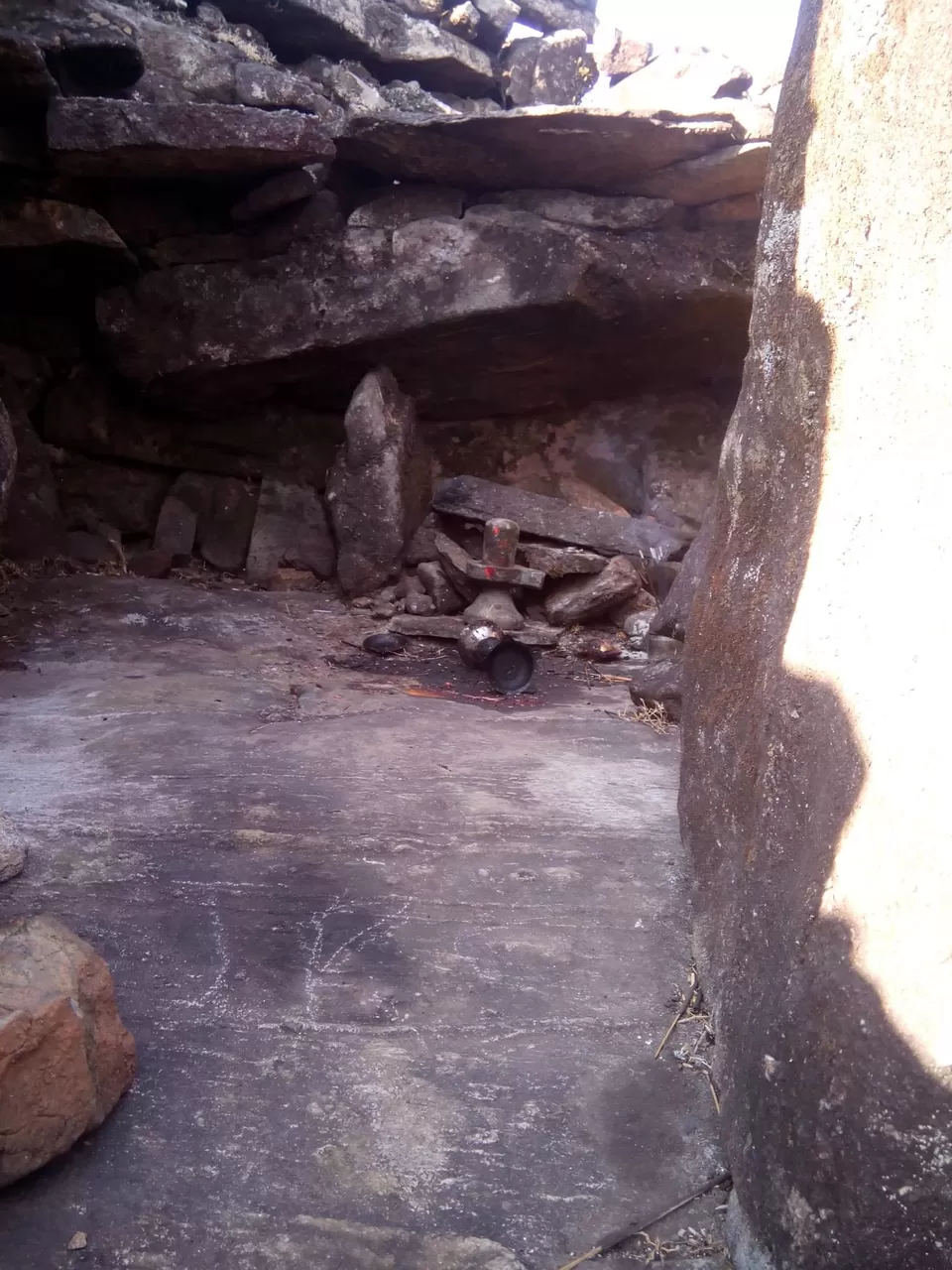 Photo of Pushpagiri Wildlife Sanctuary by Rini Biswas