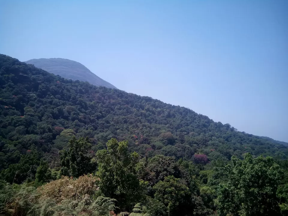 Photo of Pushpagiri Wildlife Sanctuary by Rini Biswas