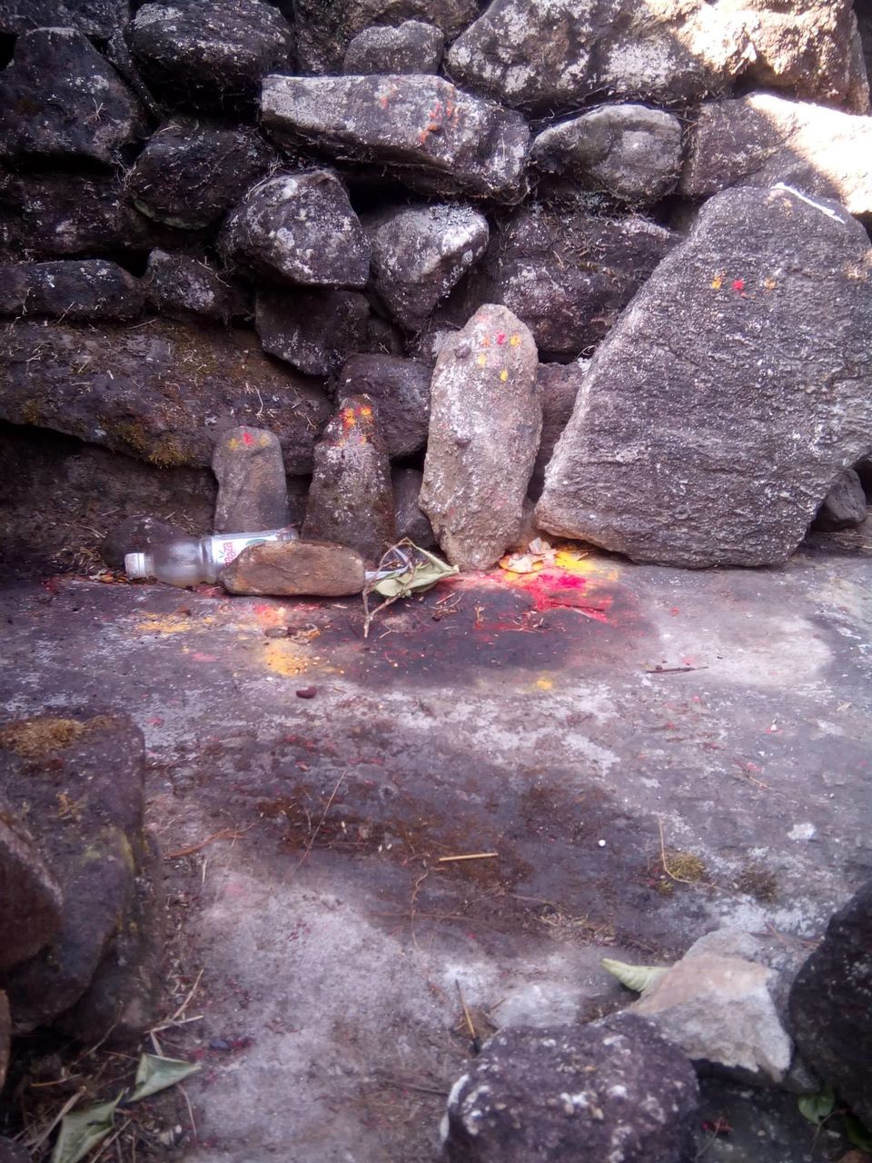 Photo of Kumara Parvata, A Weekend Trek 11/45 by Rini Biswas