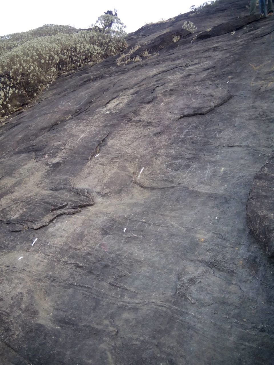 Photo of Kumara Parvata, A Weekend Trek 9/45 by Rini Biswas