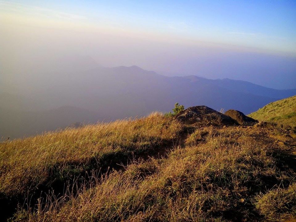 Photo of Anmol Tadiandamol 2/6 by Rini Biswas